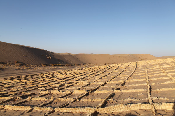 他们，从沙漠中走来……