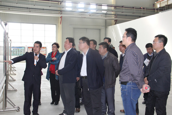 省政协高清和主任一行调研新能源公司