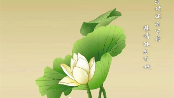 投票啦！快来为您心目中的廉洁文化作品投票吧！